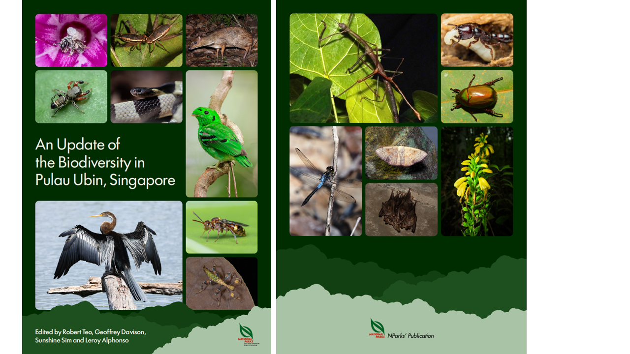 cover and back cover of the e publication